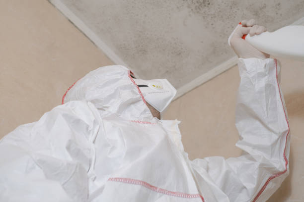 Best Toxic Mold Removal  in Jamestown, KY