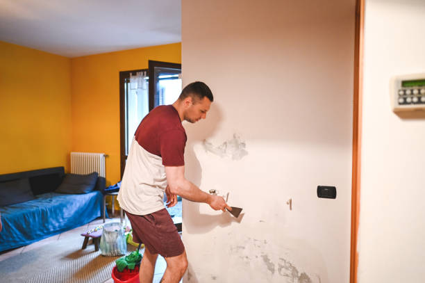Best Black Mold Removal  in Jamestown, KY