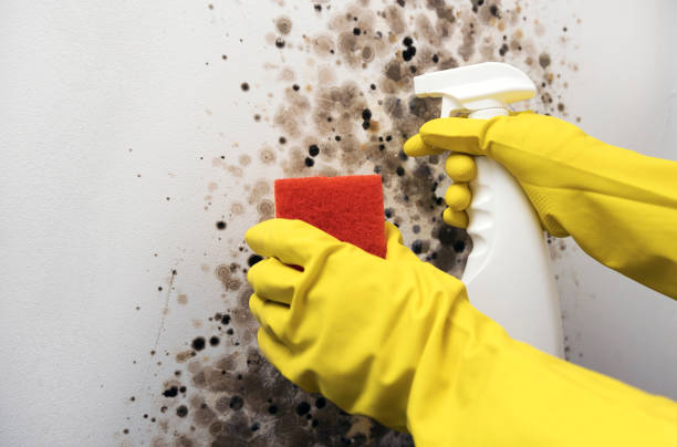 Water Damage Restoration in Jamestown, KY